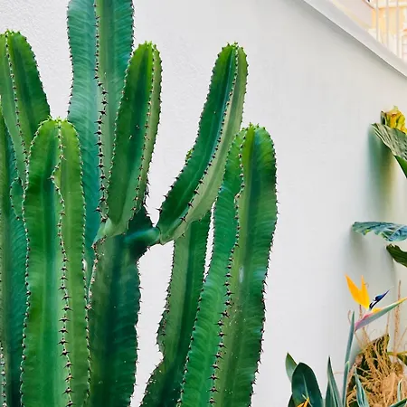 Gasthof Di Nera Boutique Palermo