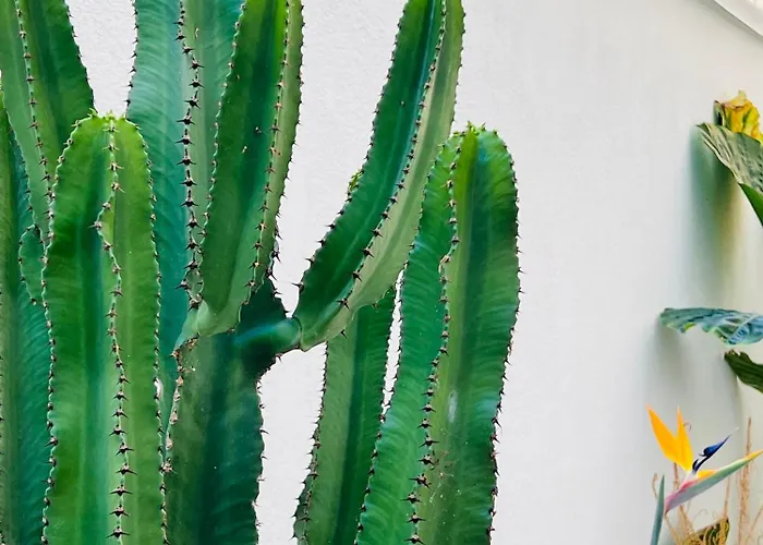 Affittacamere Di Nera Boutique Palermo